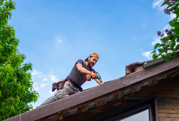 Best Storm Damage Roof Repair  in Bridgeport, CT